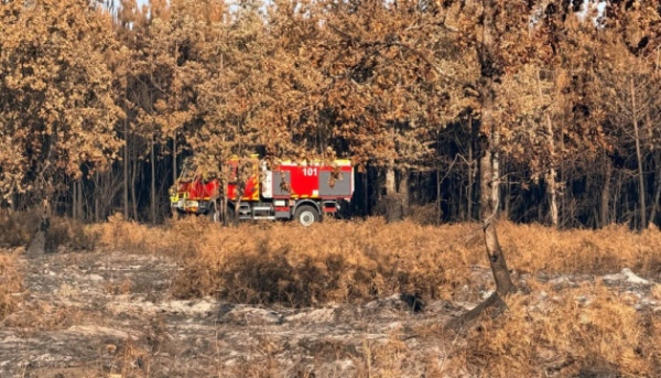Українські пожежники вирушили до Франції для боротьби з великою лісовою пожежею.