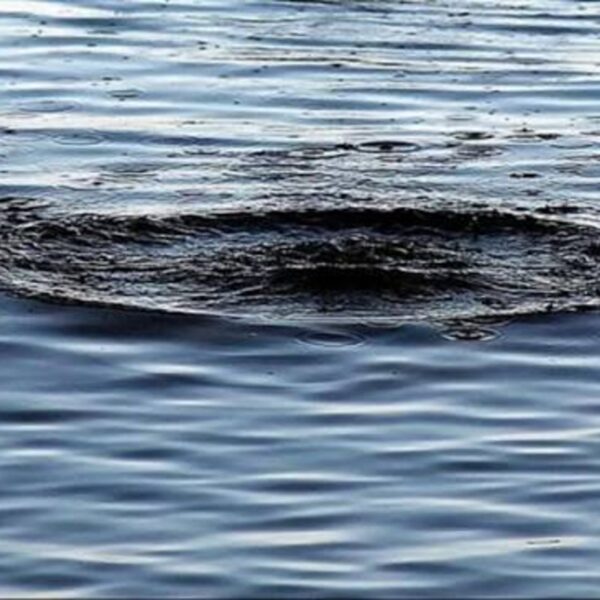 Дитячий відпочинок: як уникнути трагедій біля води