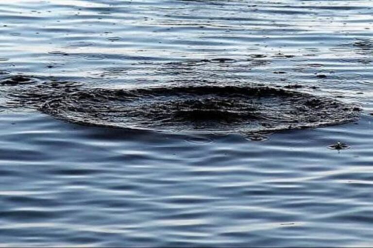 Дитячий відпочинок: як уникнути трагедій біля води 11