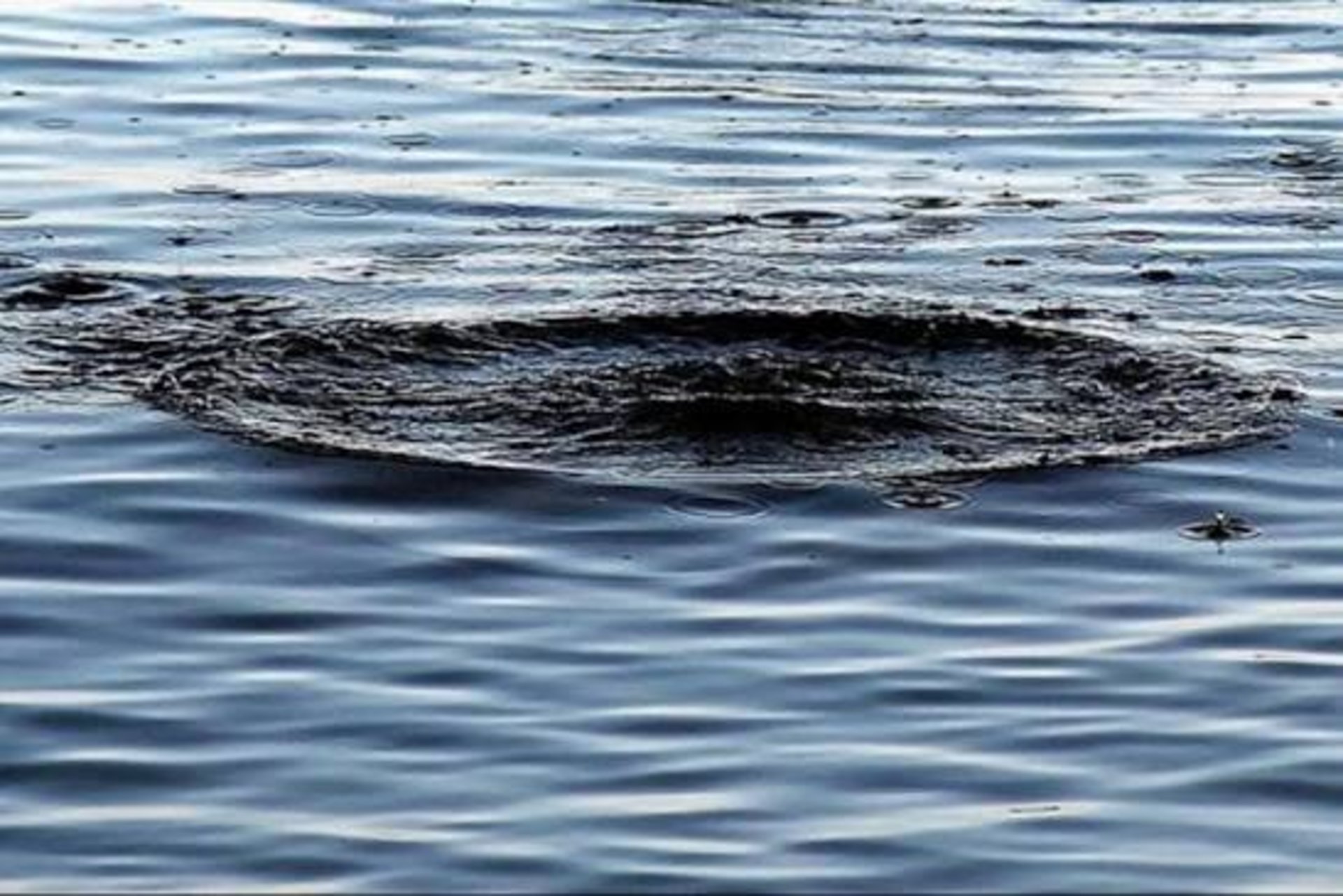 Дитячий відпочинок: як уникнути трагедій біля води 2