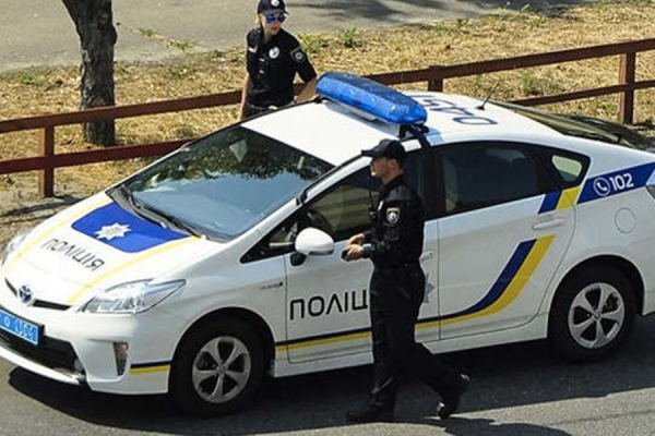 Три причини для поверхневого огляду автомобіля поліцією: коли водій безпорадний