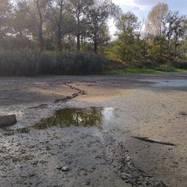 У столиці повністю зникла водойма під назвою Синє