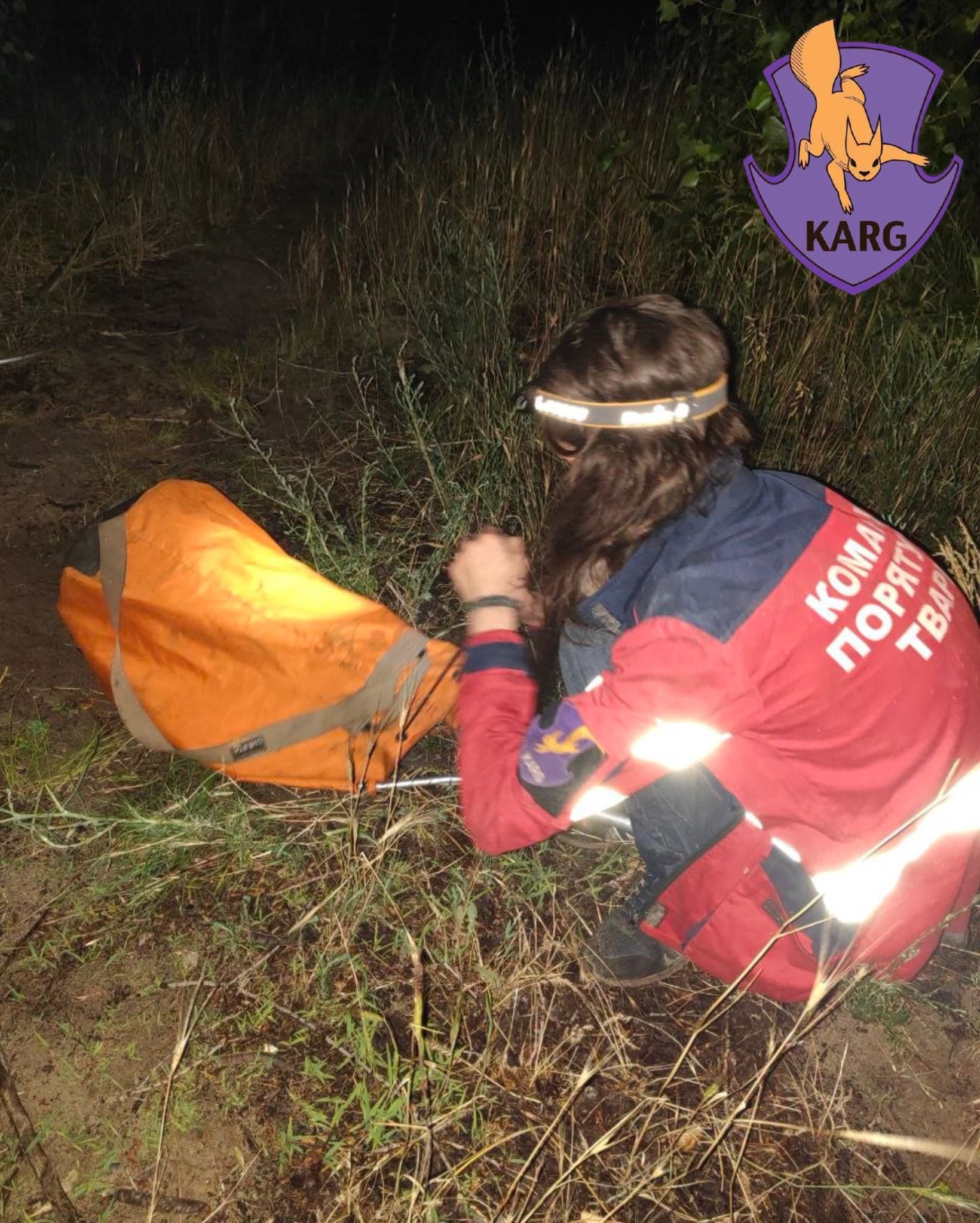 На Оболоні допомагають пернатим та звірам із водойми, що постраждала від мазуту внаслідок обстрілів. 21