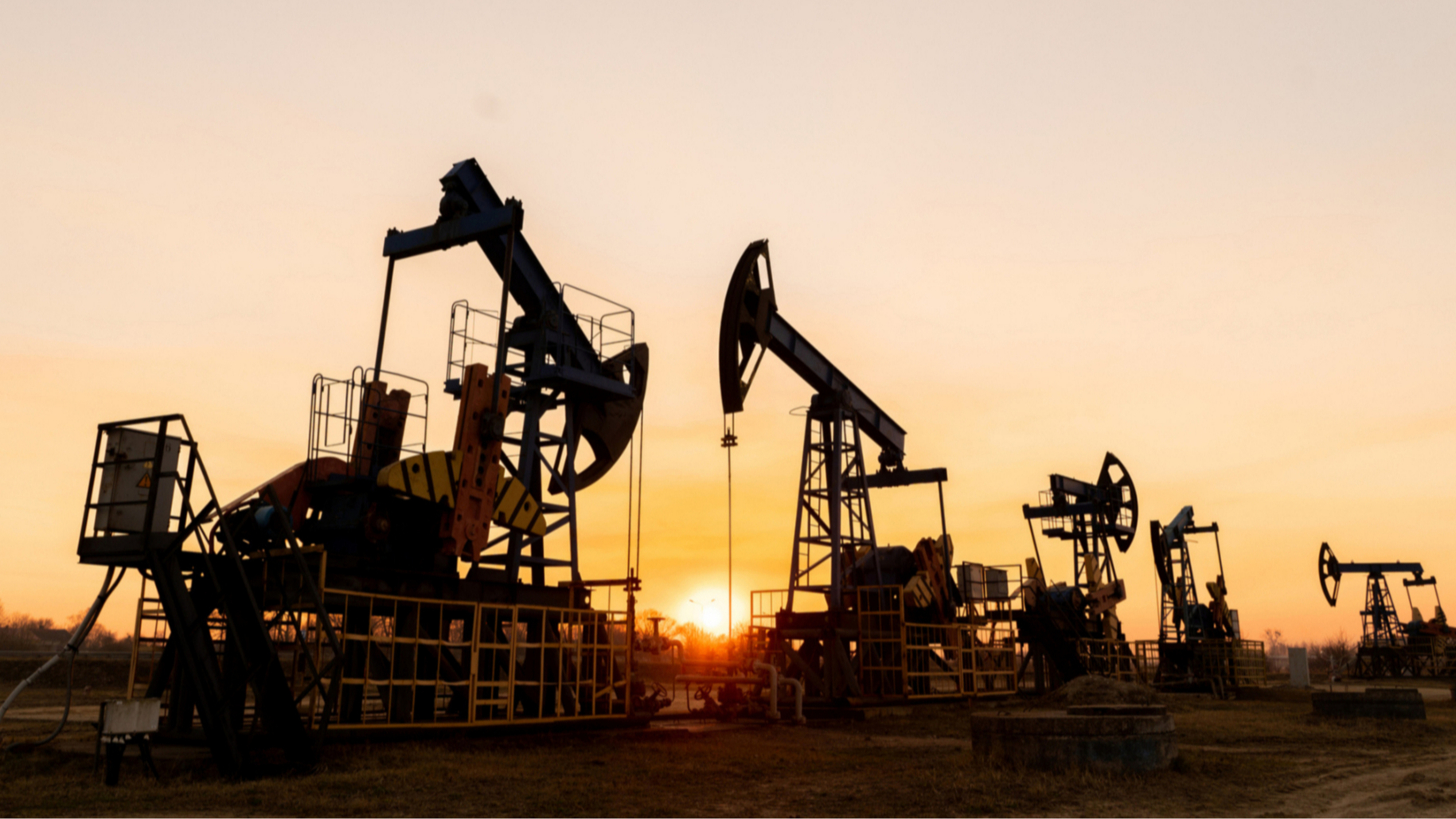 ОПЕК+ заморожує видобуток нафти у жовтні 2