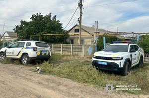 Несподівана розв'язка: Як конфлікт з тещею на Одещині переріс у стрілянину 14