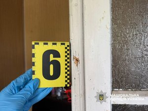 Несподівана розв'язка: Як конфлікт з тещею на Одещині переріс у стрілянину 16