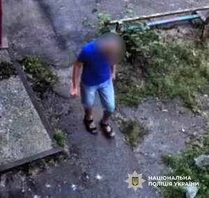 За Полтавщиною: Жахливе вбивство заради телевізора - подробиці трагедії 6