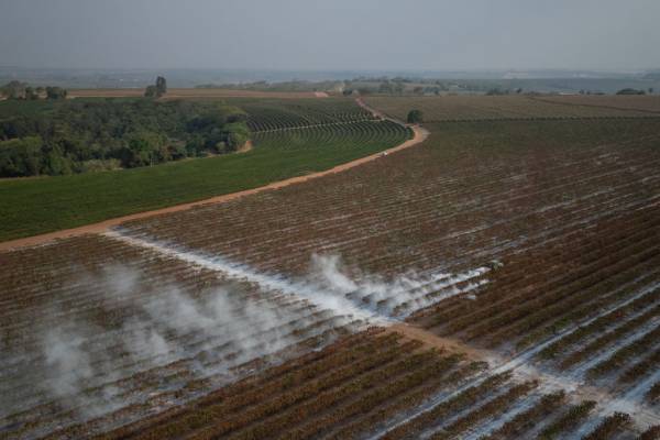Висихання артезіанських вод Бразилії: прихована загроза для всього світу 6