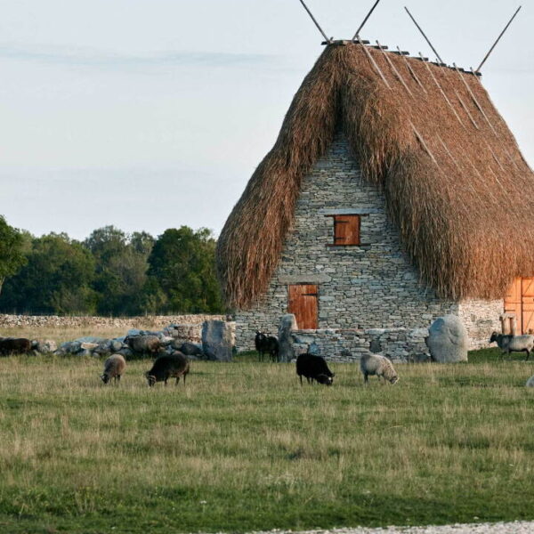 Шведський острів, що занурює у літню мрію