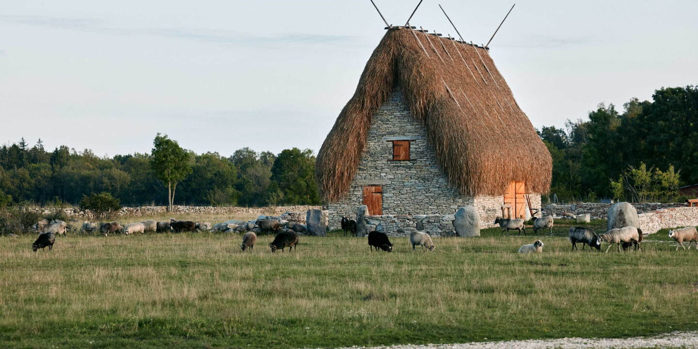 Шведський острів, що занурює у літню мрію 9