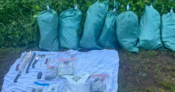 На Львівщині судитимуть чоловіка за вирощування та зберігання 1,6 кг канабісу