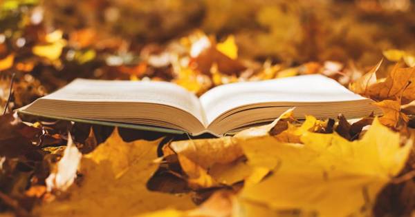 12 атмосферних книг для затишної осені