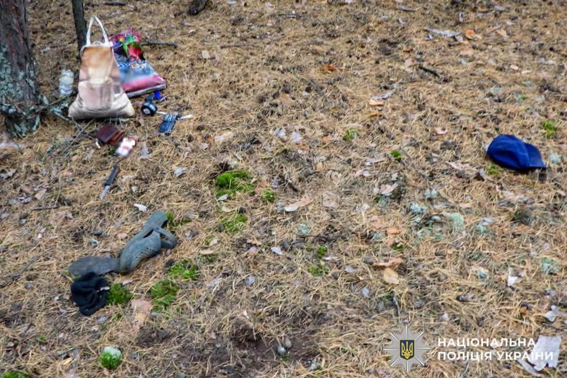 На Рівненщині рецидивіст жорстоко вбив грибника: деталі шокуючої події