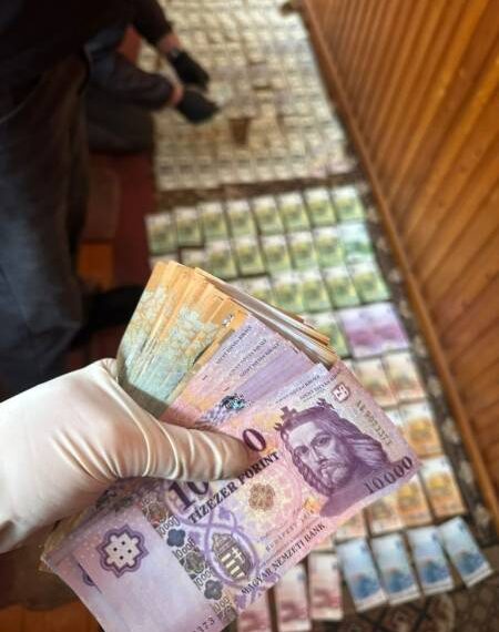 На Закарпатті за $6 тисяч продавав фіктивні довідки&hellip;